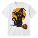 Vintage illustration of a black cat in a pointed witch hat sitting on a broomstick beneath a moon.