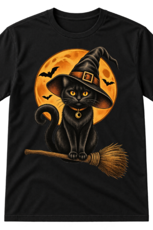 Vintage illustration of a black cat in a pointed witch hat sitting on a broomstick beneath a moon.